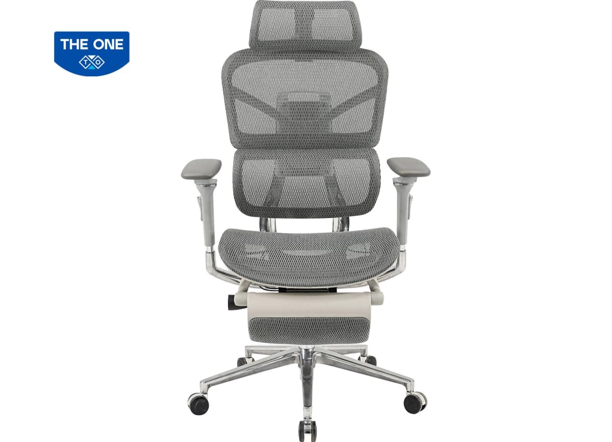 Ghế Công Thái Học The One GLE17