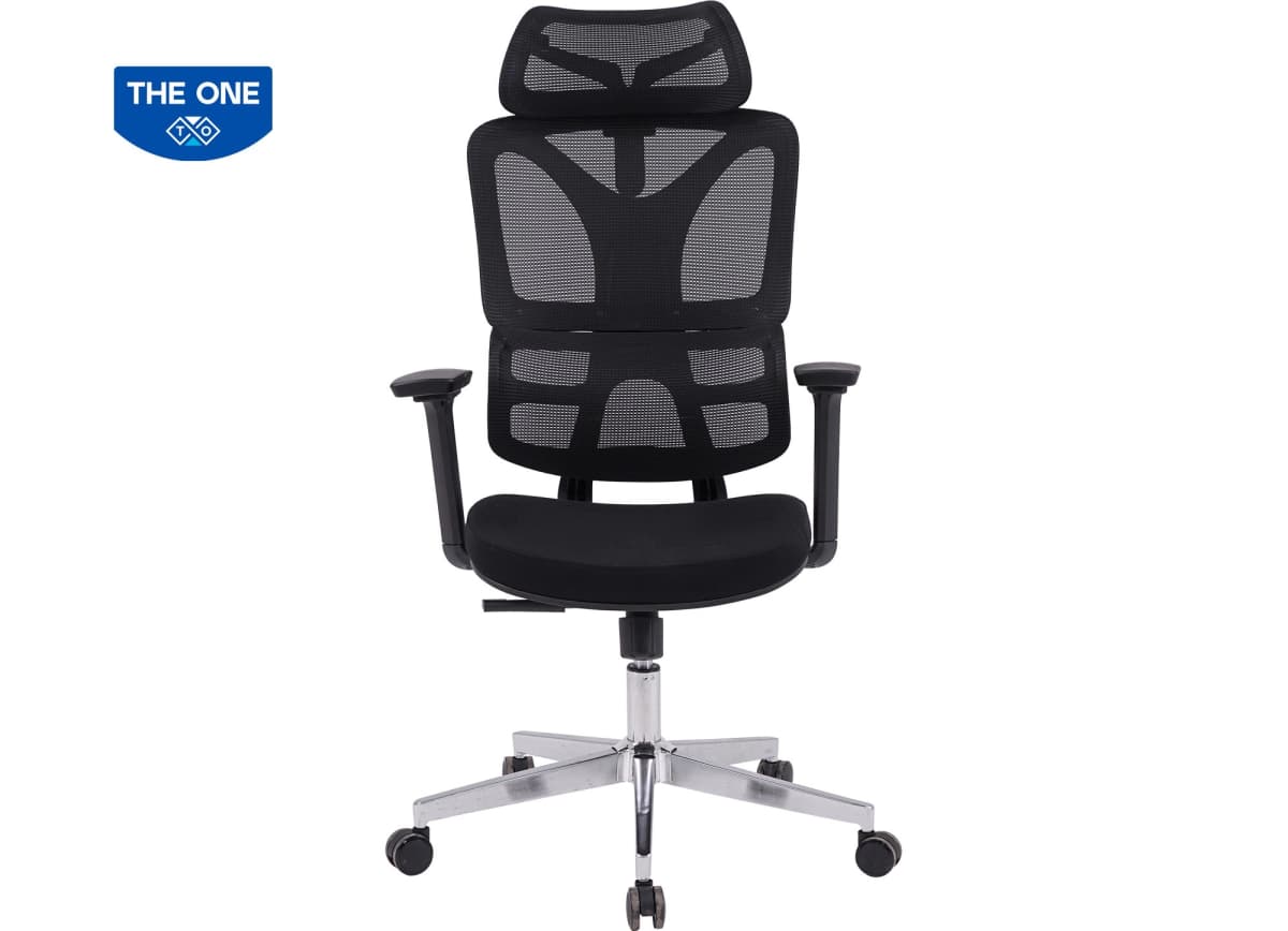 Ghế Công Thái Học The One GLE19