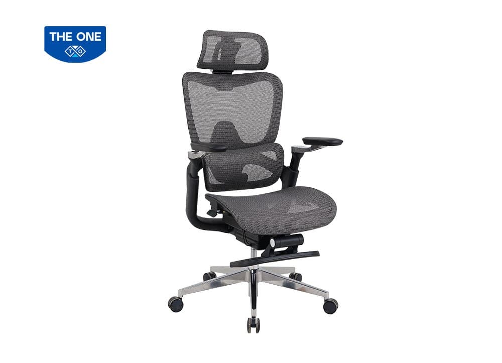 Ghế Lưới Công Thái Học The One GLE24